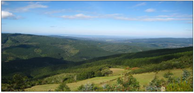 Screen Shot 2022-02-06 at 11.51.57 PM